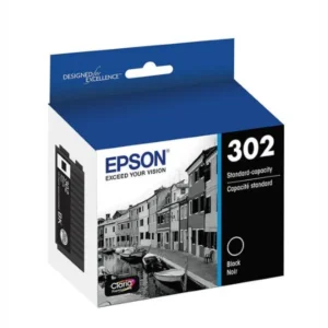 Original Epson T302020 Black Ink