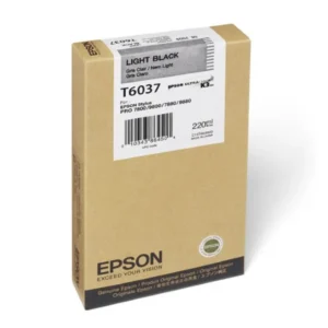 Original Epson T603700 Light Black Ink